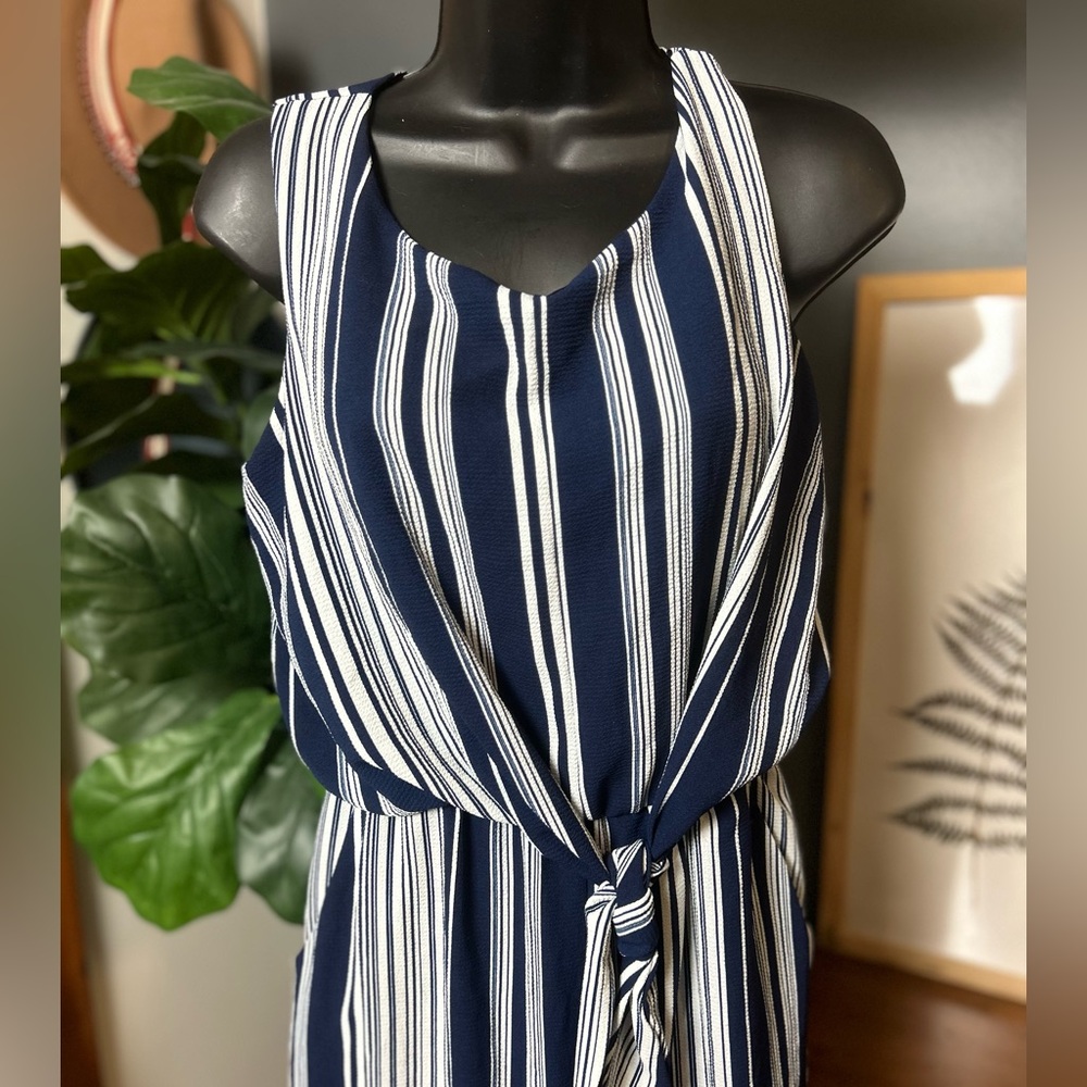 Luxology  Blue And White Jumpsuit - Picture 3 of 5